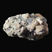 Chalcopyrite cluster from Pakistan 40*25*20mm 53.8g in sunlight - Rocks and Things Store