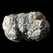 Chalcopyrite cluster from Pakistan 37*22*22mm 53g in sunlight - Rocks and Things Store