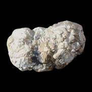 Chalcopyrite cluster from Pakistan 37*22*22mm 53g in sunlight - Rocks and Things Store