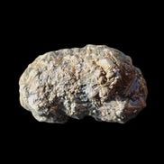 Chalcopyrite cluster from Pakistan 37*22*22mm 53g in sunlight - Rocks and Things Store