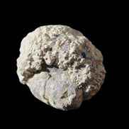 Chalcopyrite cluster from Pakistan 37*29*29mm 70g in sunlight - Rocks and Things Store