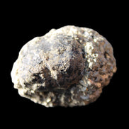 Chalcopyrite cluster from Pakistan 37*29*29mm 70g in sunlight - Rocks and Things Store