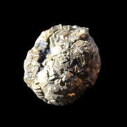 Chalcopyrite cluster from Pakistan 30*25*23mm 54.5g in sunlight - Rocks and Things Store