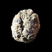 Chalcopyrite cluster from Pakistan 30*25*23mm 54.5g in sunlight - Rocks and Things Store