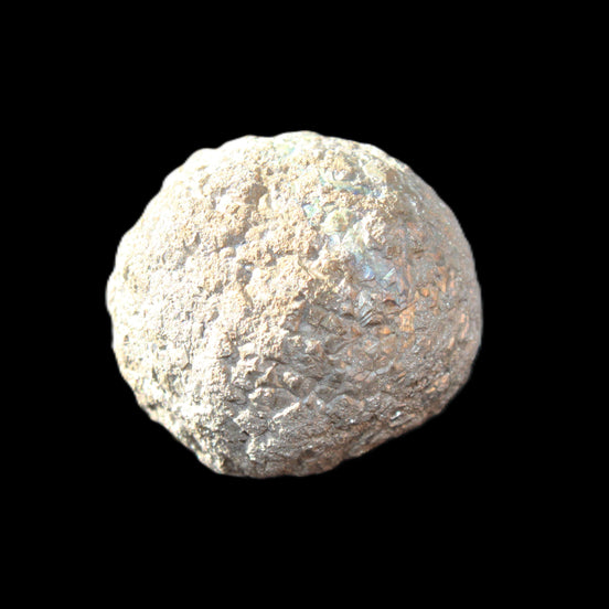 Chalcopyrite cluster sphere from Pakistan 25mm 41g in sunlight - Rocks and Things Store