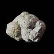 Chalcopyrite cluster from Pakistan 33*25*23mm 50g in sunlight - Rocks and Things Store