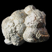 Chalcopyrite cluster from Pakistan 33*25*23mm 50g in sunlight - Rocks and Things Store