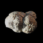 Chalcopyrite cluster from Pakistan 33*25*23mm 50g in sunlight - Rocks and Things Store