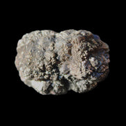 Chalcopyrite cluster from Pakistan 35*27*22mm 46.8g in sunlight - Rocks and Things Store