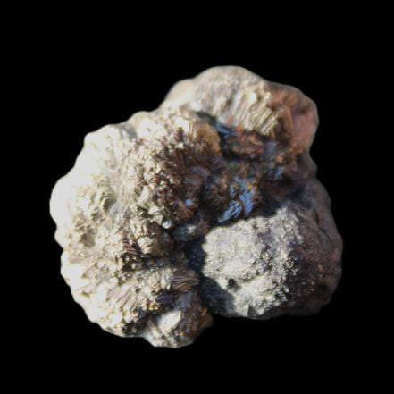 Chalcopyrite cluster from Pakistan 35*27*22mm 46.8g in sunlight - Rocks and Things Store