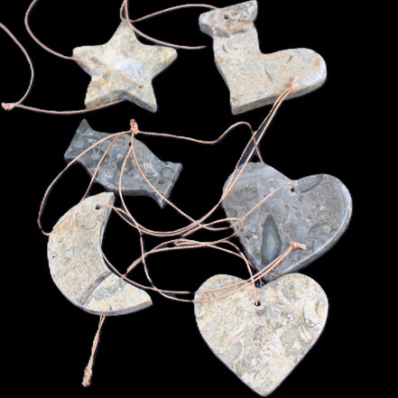 Christmas tree decoration shapes - 6 Fossil rock shapes 34-38mm 88g in sunlight - Rocks and Things Store