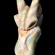 Afghan Jade Dragon's head hand-carved 115*50*84mm 589g in sunlight - Rocks and Things Store