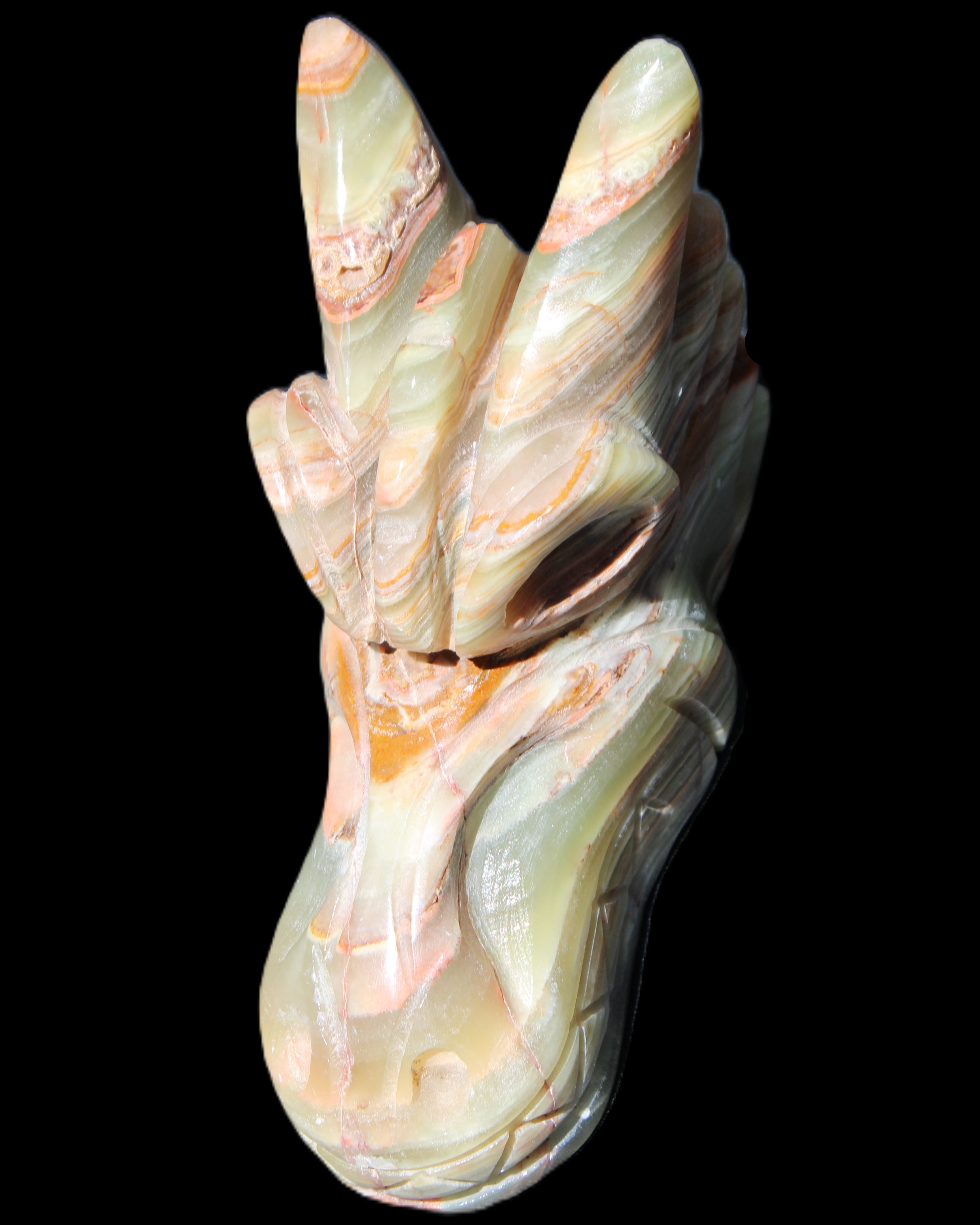 Afghan Jade Dragon's head hand-carved 115*50*84mm 589g in sunlight - Rocks and Things Store