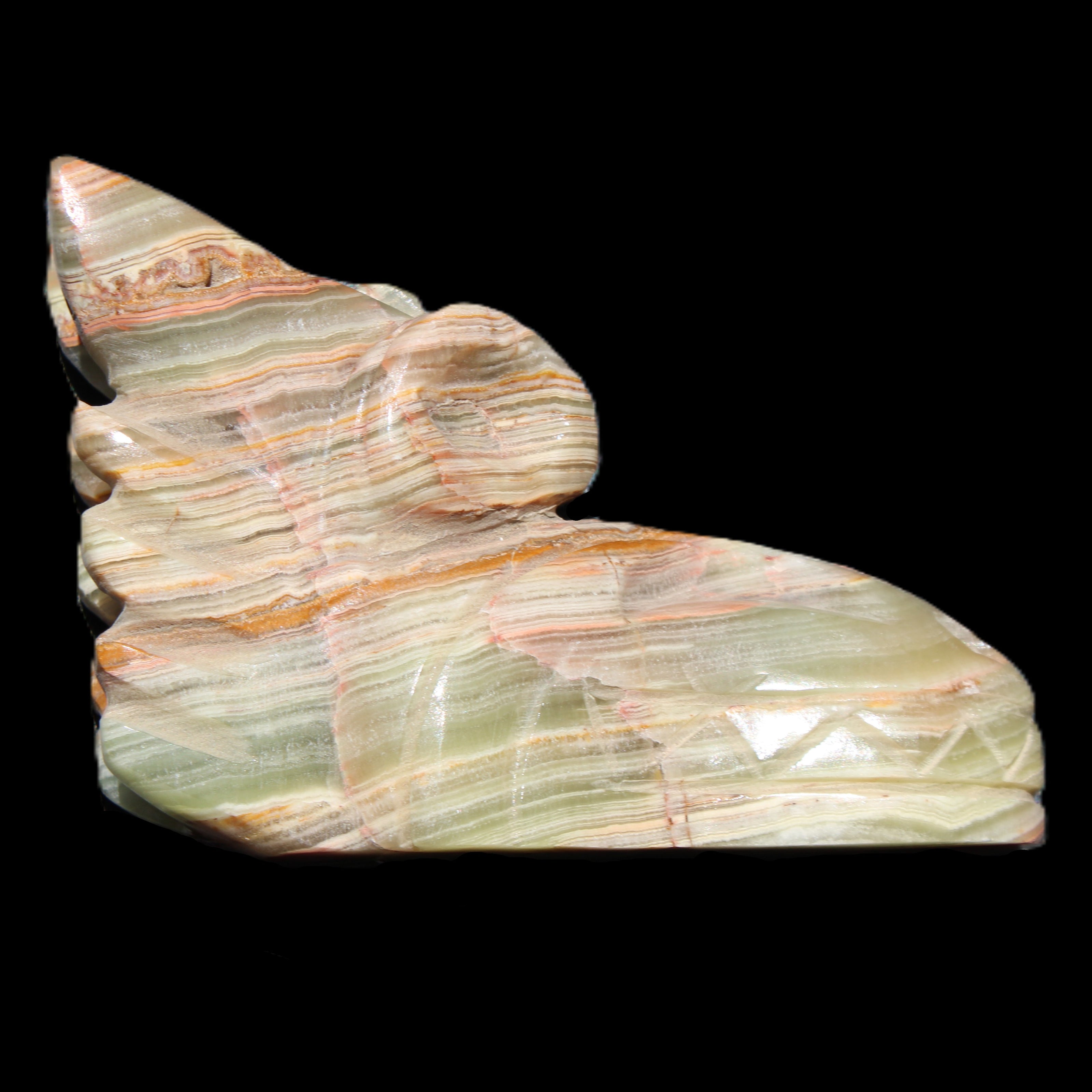 Afghan Jade Dragon's head hand-carved 115*50*84mm 589g in sunlight - Rocks and Things Store