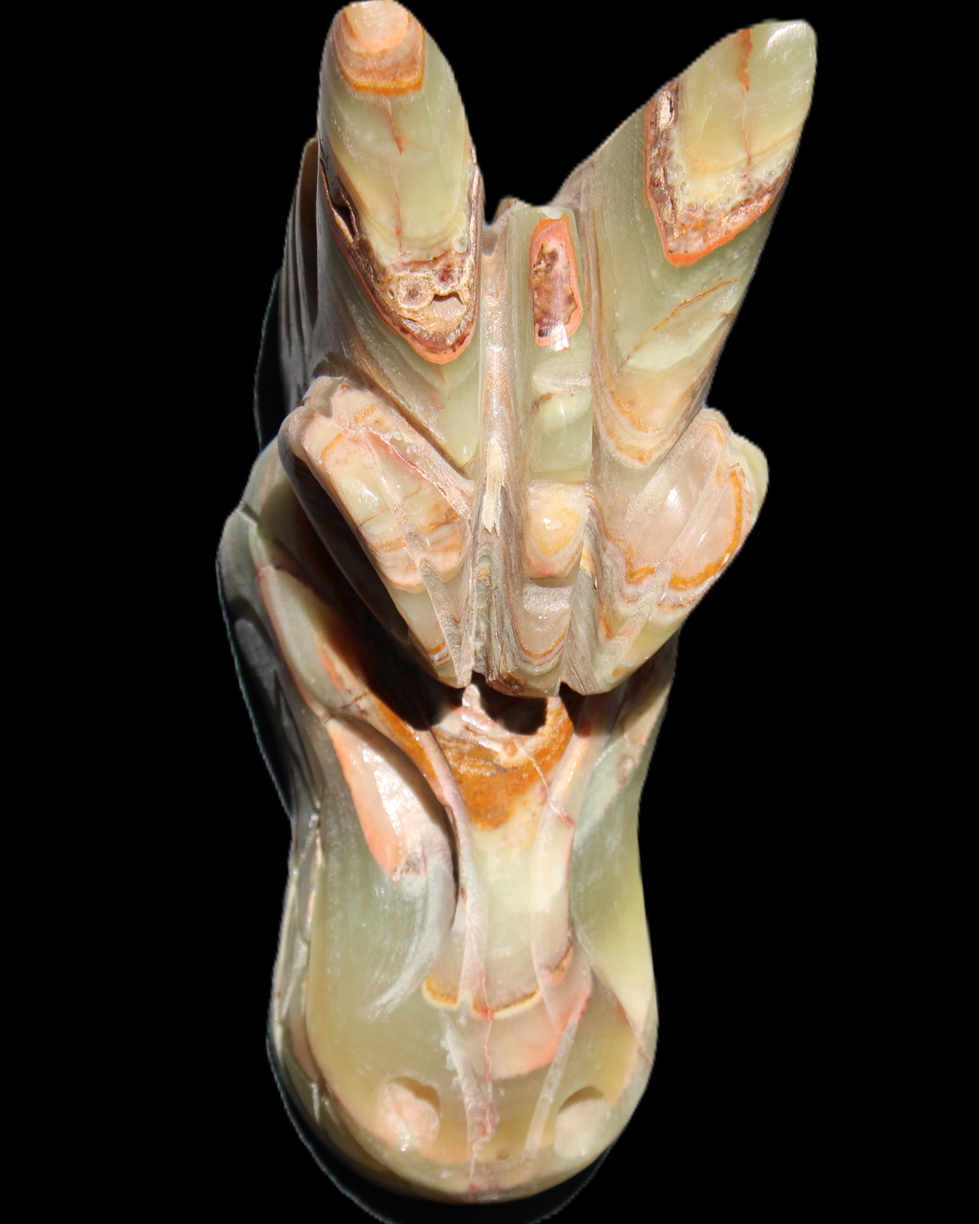 Afghan Jade Dragon's head hand-carved 115*50*84mm 589g in sunlight - Rocks and Things Store