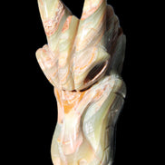 Afghan Jade Dragon's head hand-carved 115*50*84mm 589g in sunlight - Rocks and Things Store