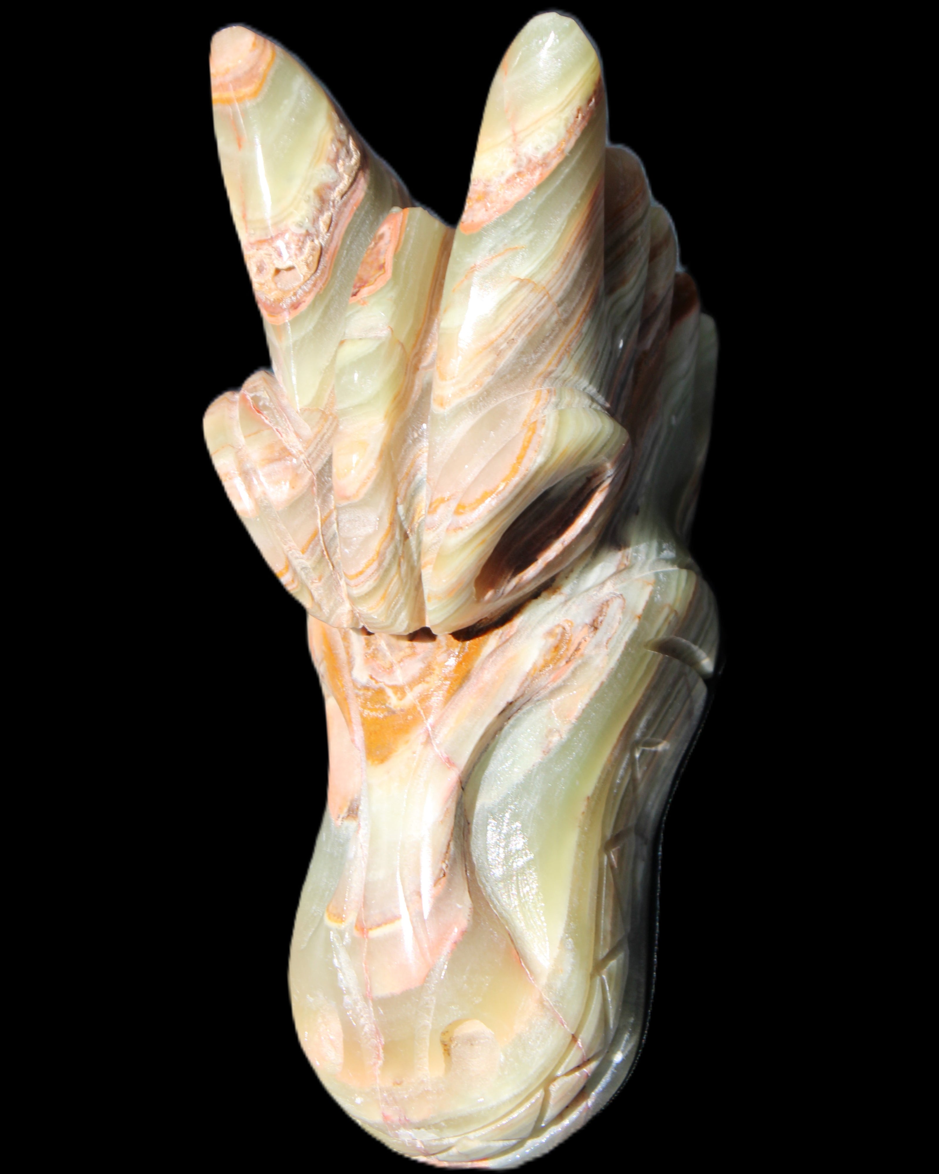 Afghan Jade Dragon's head hand-carved 115*50*84mm 589g in sunlight - Rocks and Things Store