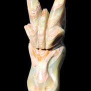 Afghan Jade Dragon's head hand-carved 115*50*84mm 589g in sunlight - Rocks and Things Store