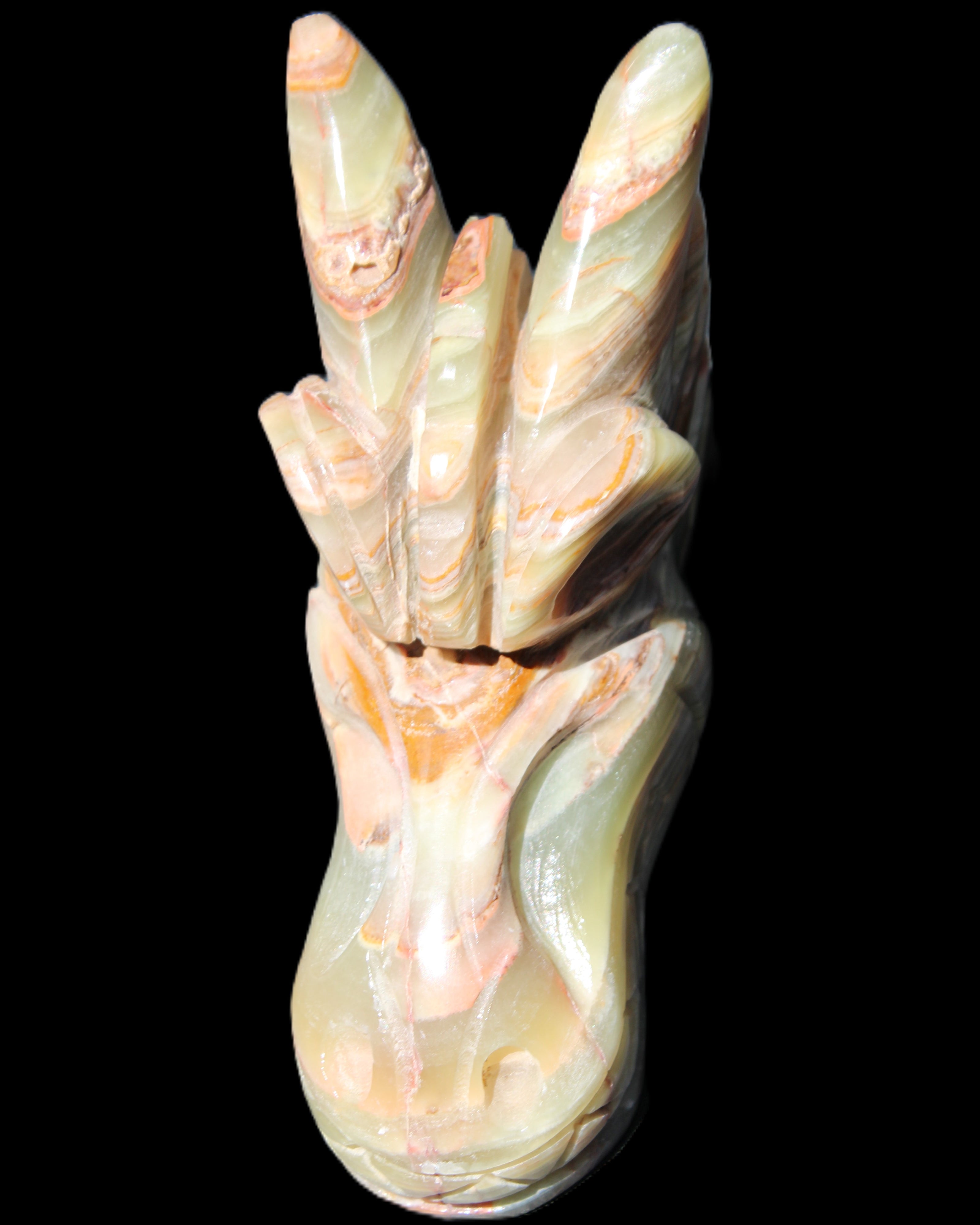 Afghan Jade Dragon's head hand-carved 115*50*84mm 589g in sunlight - Rocks and Things Store