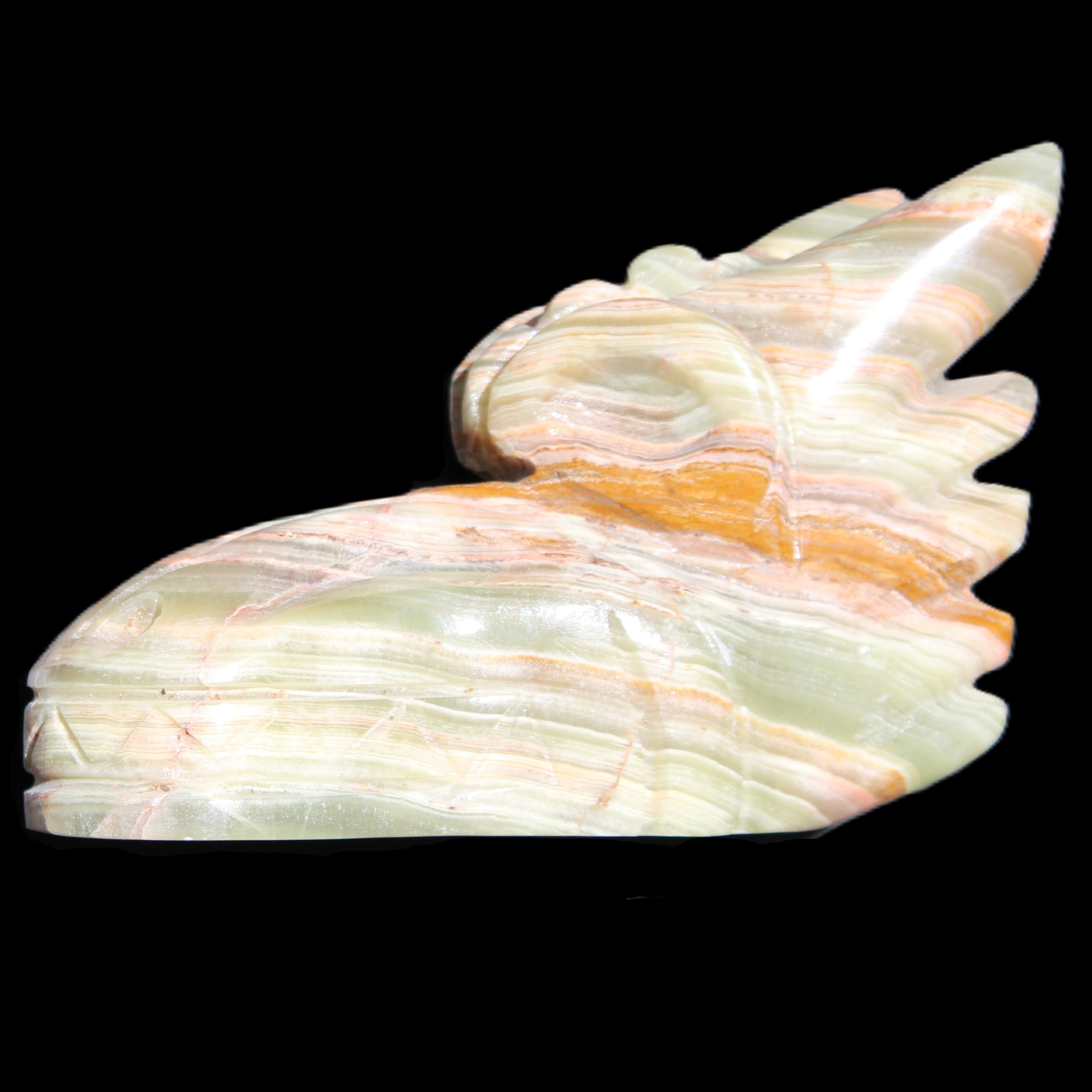 Afghan Jade Dragon's head hand-carved 115*50*84mm 589g in sunlight - Rocks and Things Store