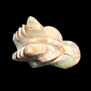 Afghan Jade Dragon's head hand-carved 115*50*84mm 589g in sunlight - Rocks and Things Store