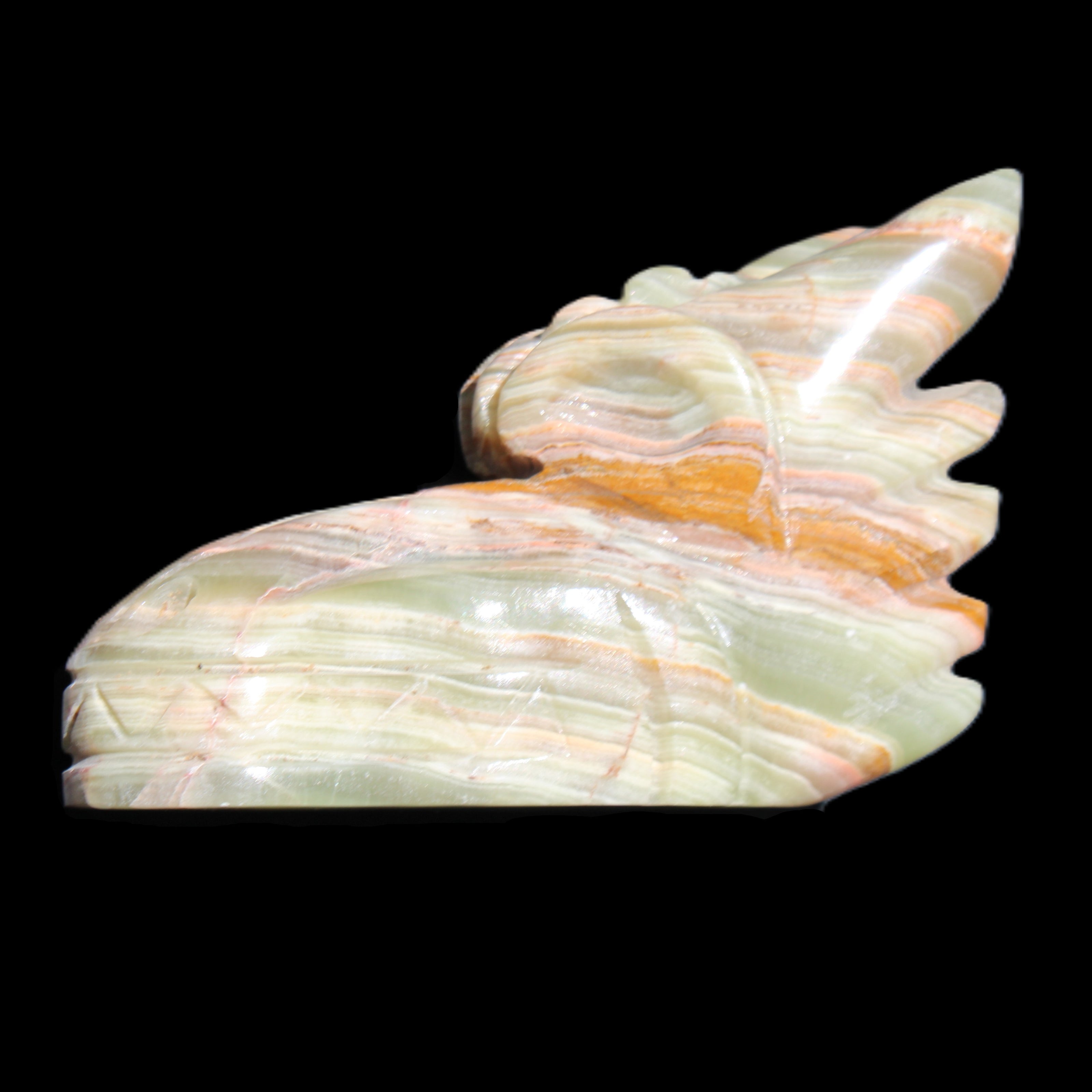 Afghan Jade Dragon's head hand-carved 115*50*84mm 589g in sunlight - Rocks and Things Store