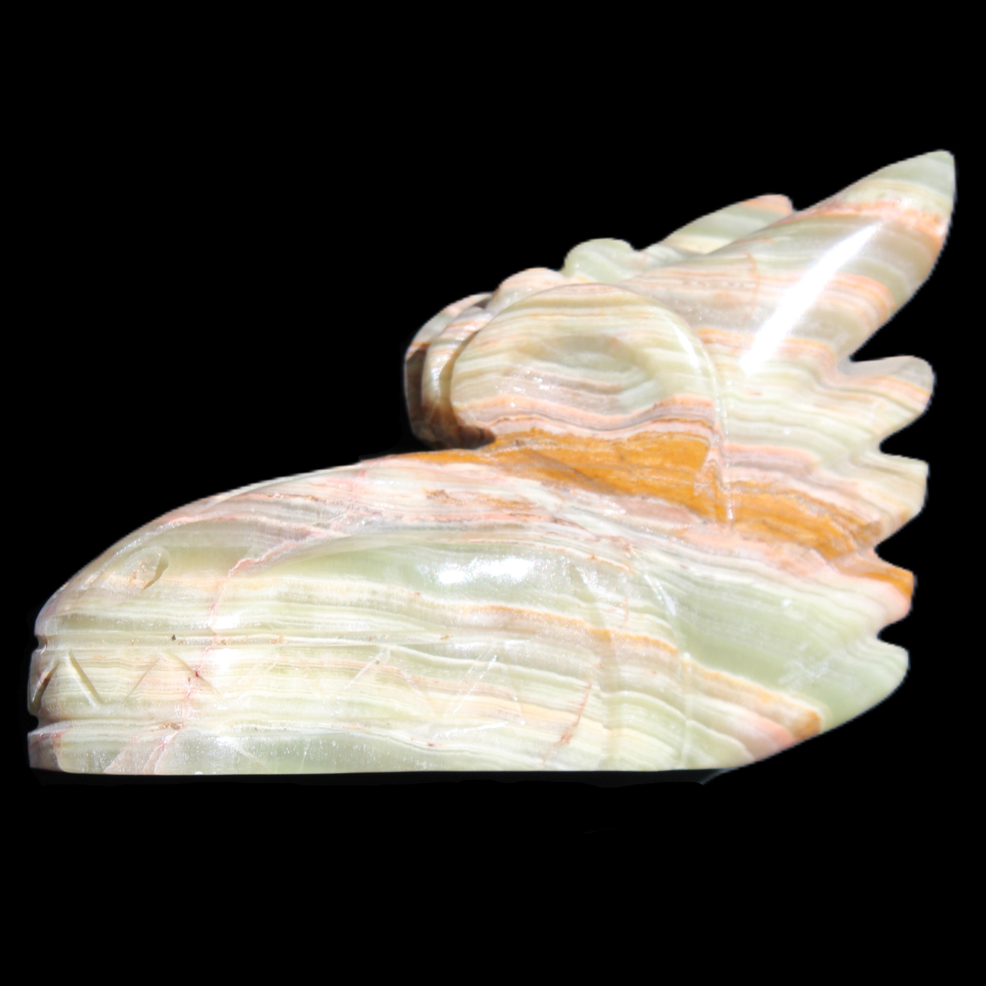 Afghan Jade Dragon's head hand-carved 115*50*84mm 589g in sunlight - Rocks and Things Store