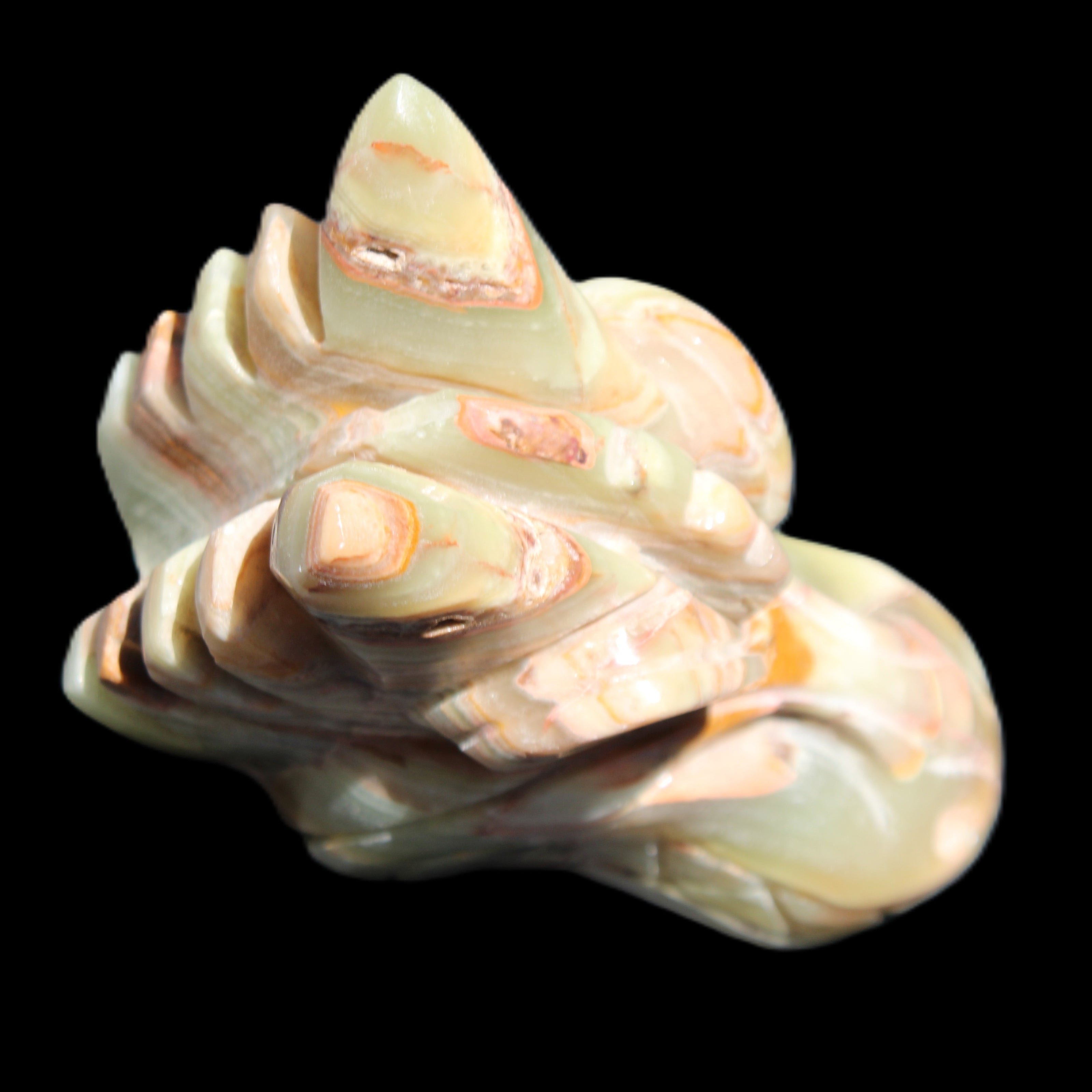 Afghan Jade Dragon's head hand-carved 115*50*84mm 589g in sunlight - Rocks and Things Store