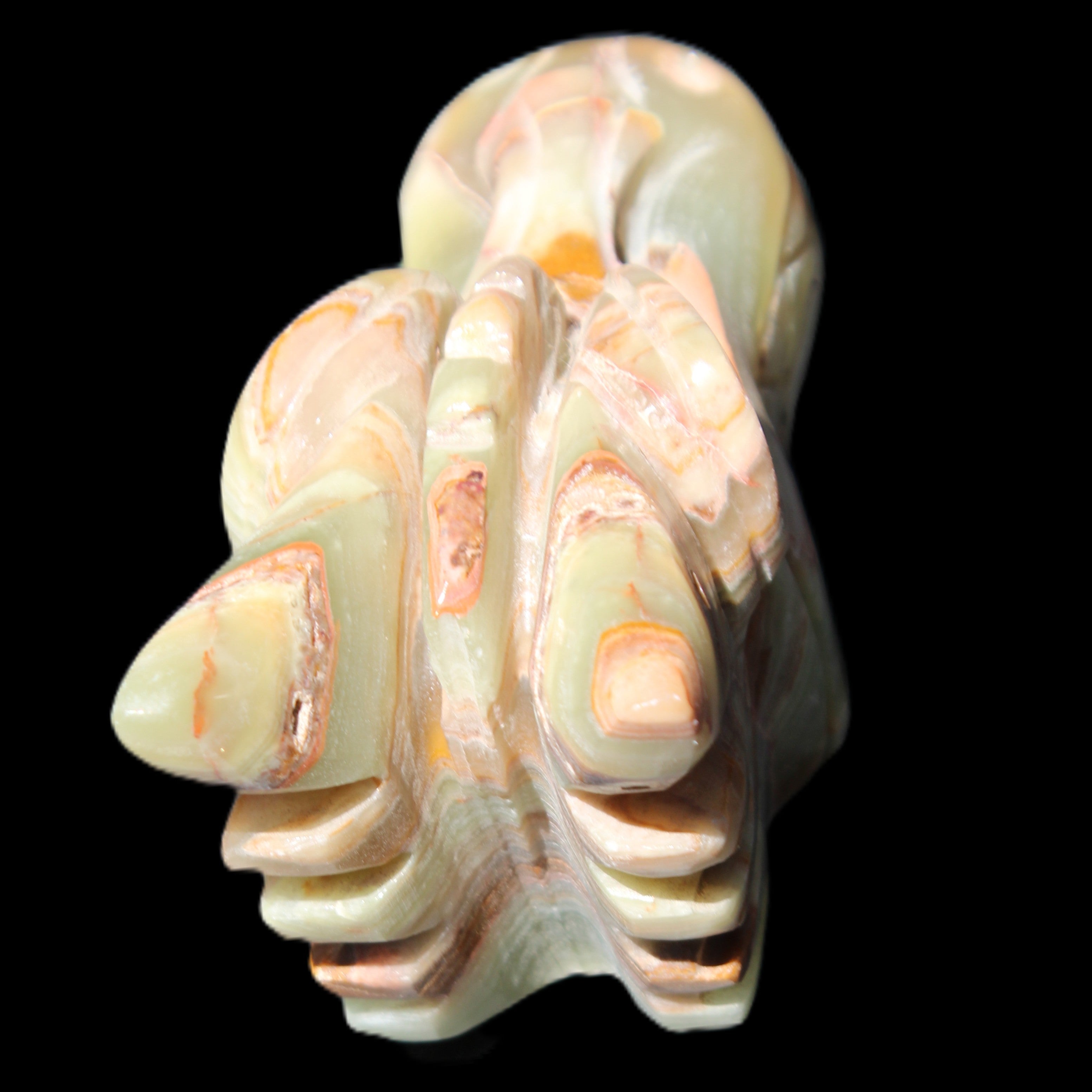 Afghan Jade Dragon's head hand-carved 115*50*84mm 589g in sunlight - Rocks and Things Store