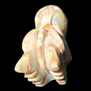 Afghan Jade Dragon's head hand-carved 115*50*84mm 589g in sunlight - Rocks and Things Store