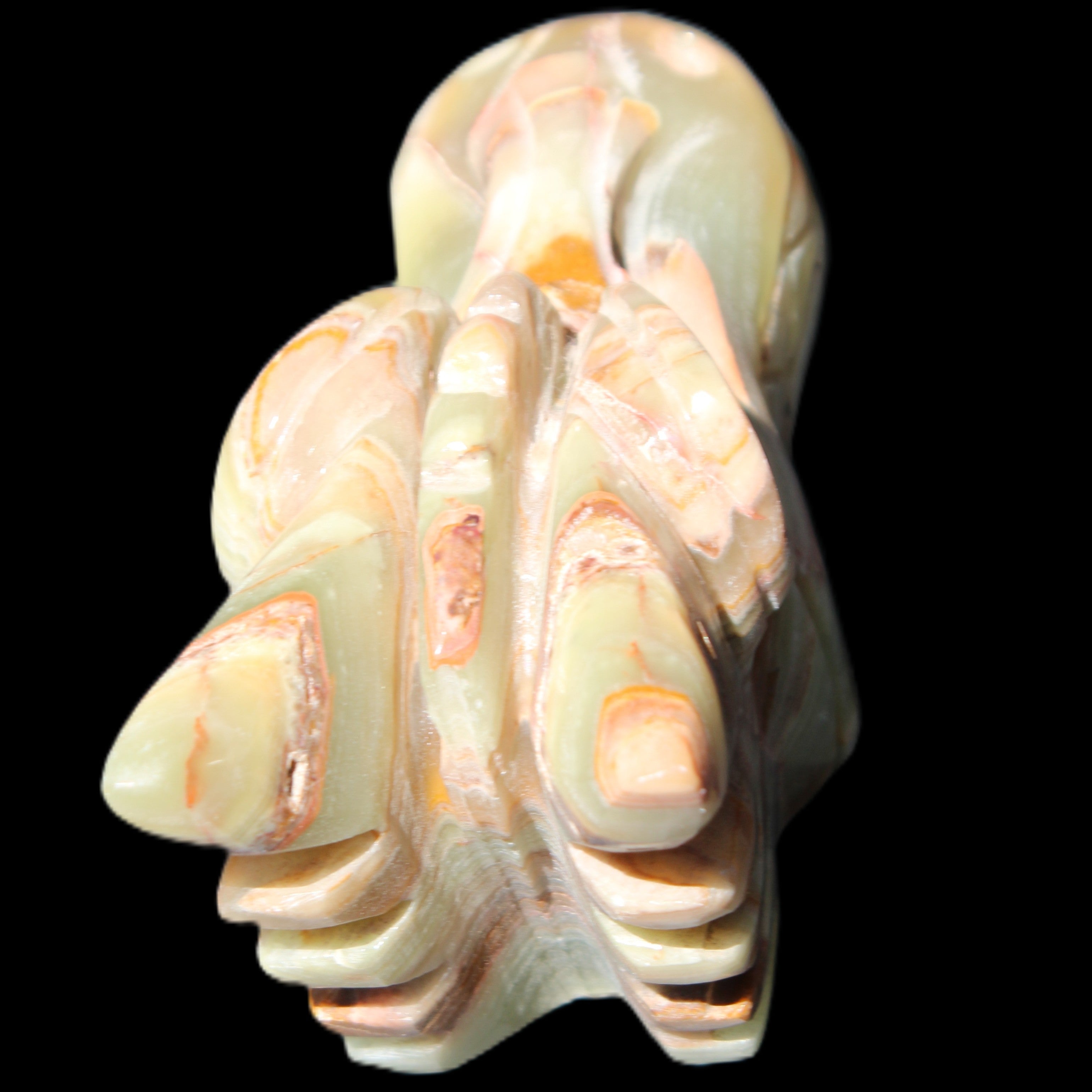 Afghan Jade Dragon's head hand-carved 115*50*84mm 589g in sunlight - Rocks and Things Store