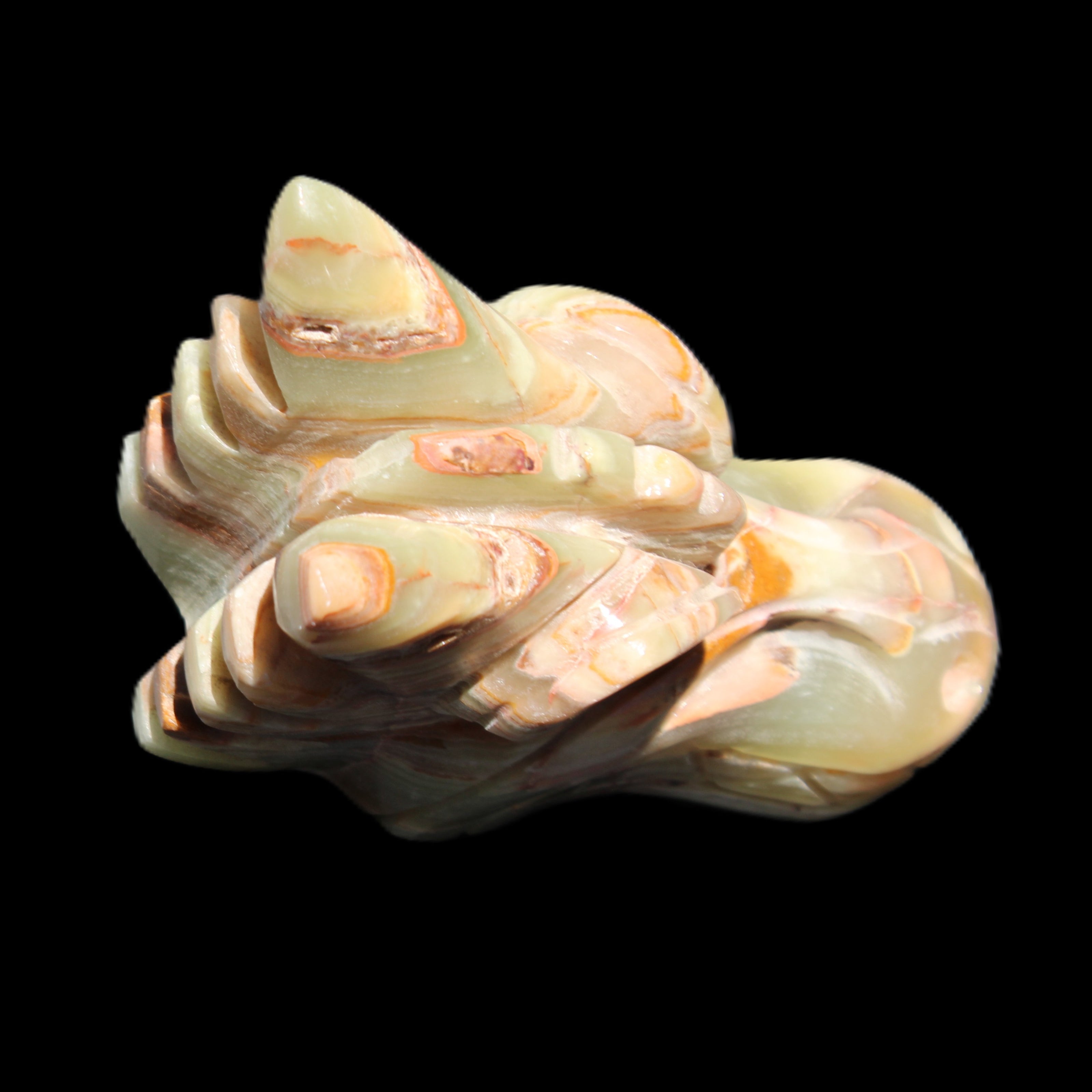 Afghan Jade Dragon's head hand-carved 115*50*84mm 589g in sunlight - Rocks and Things Store