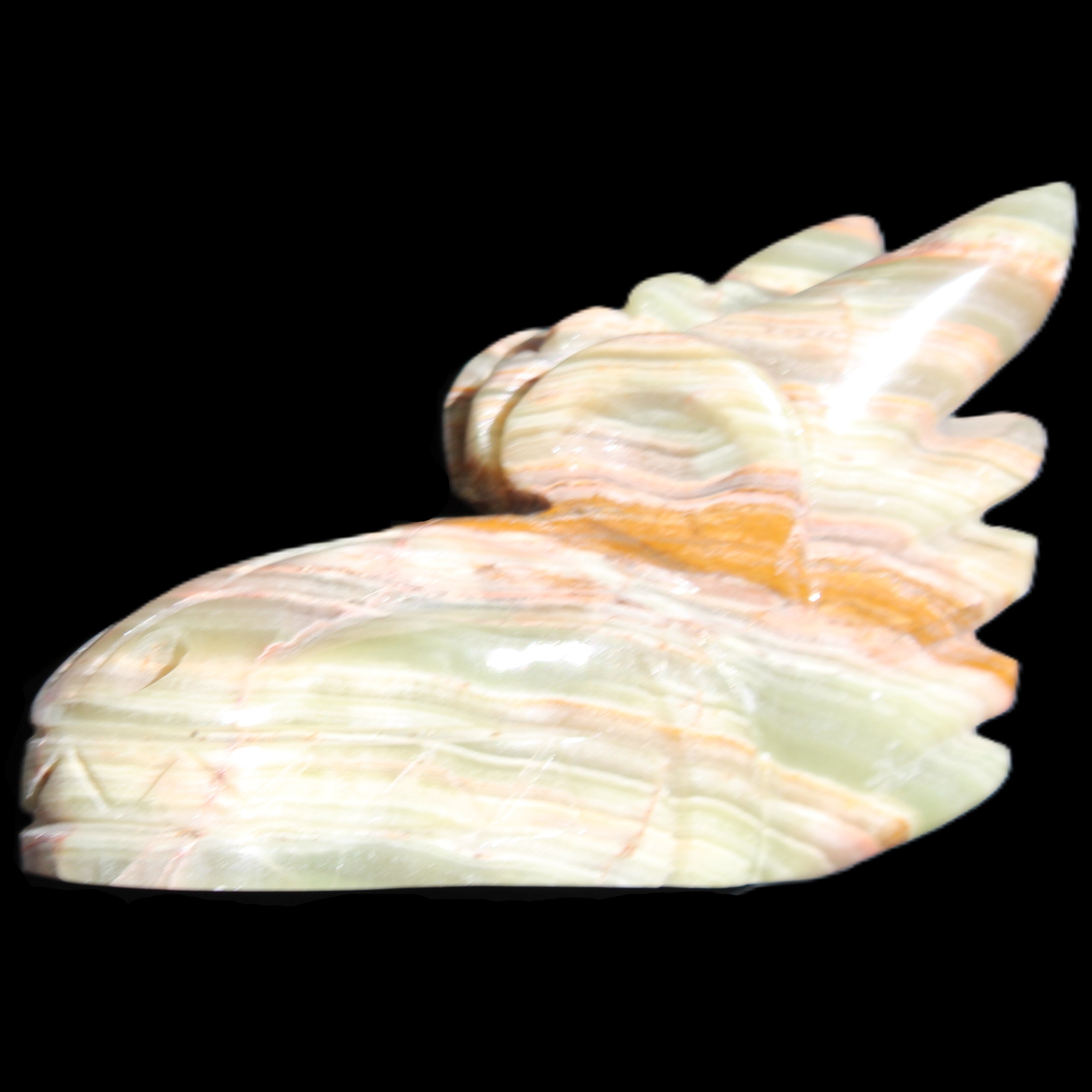 Afghan Jade Dragon's head hand-carved 115*50*84mm 589g in sunlight - Rocks and Things Store