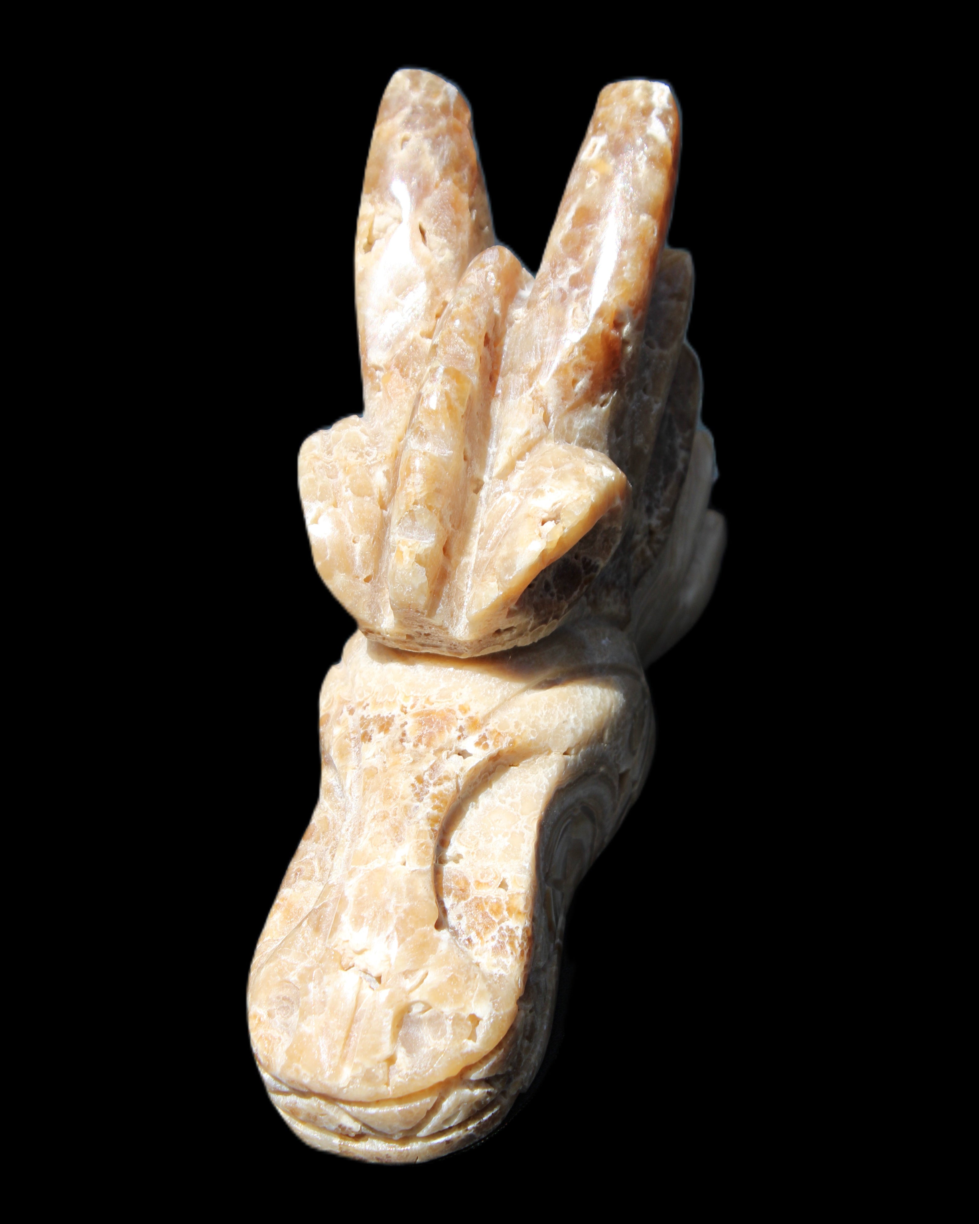 Chocolate Calcite Dragon's head hand-carved 118*41*85mm 494g in sunlight - Rocks and Things Store