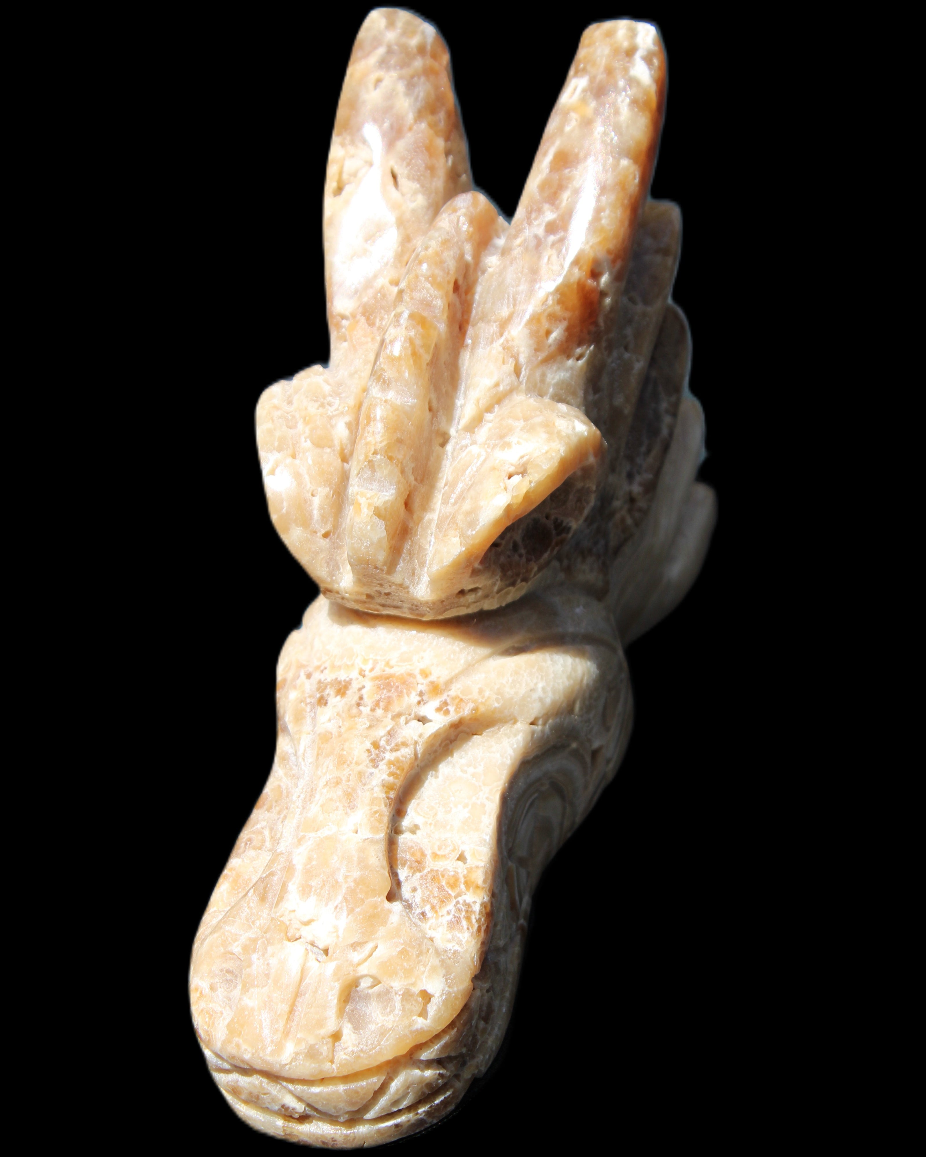 Chocolate Calcite Dragon's head hand-carved 118*41*85mm 494g in sunlight - Rocks and Things Store