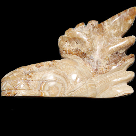 Chocolate Calcite Dragon's head hand-carved 118*41*85mm 494g in sunlight - Rocks and Things Store