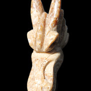 Chocolate Calcite Dragon's head hand-carved 118*41*85mm 494g in sunlight - Rocks and Things Store