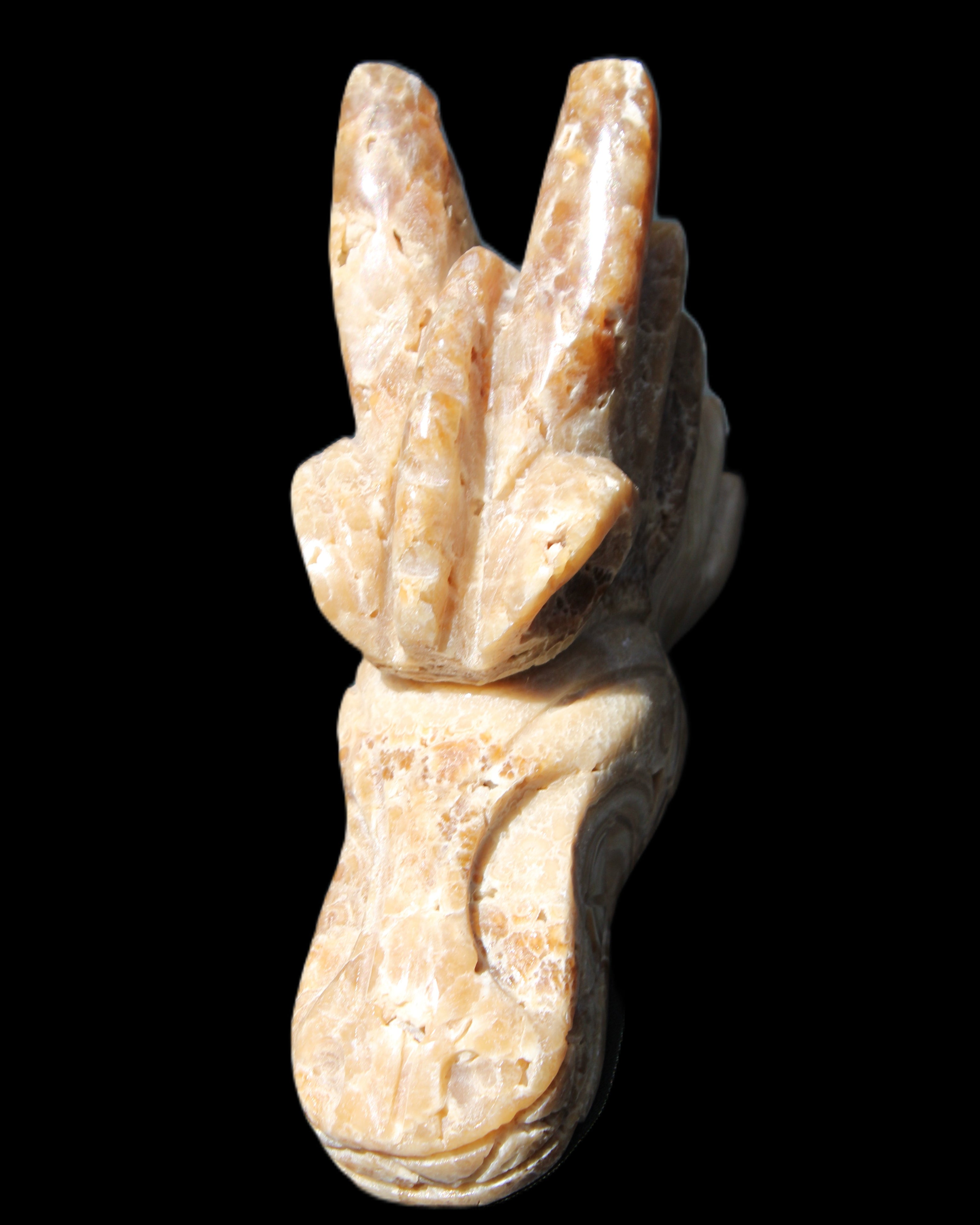 Chocolate Calcite Dragon's head hand-carved 118*41*85mm 494g in sunlight - Rocks and Things Store