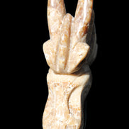 Chocolate Calcite Dragon's head hand-carved 118*41*85mm 494g in sunlight - Rocks and Things Store