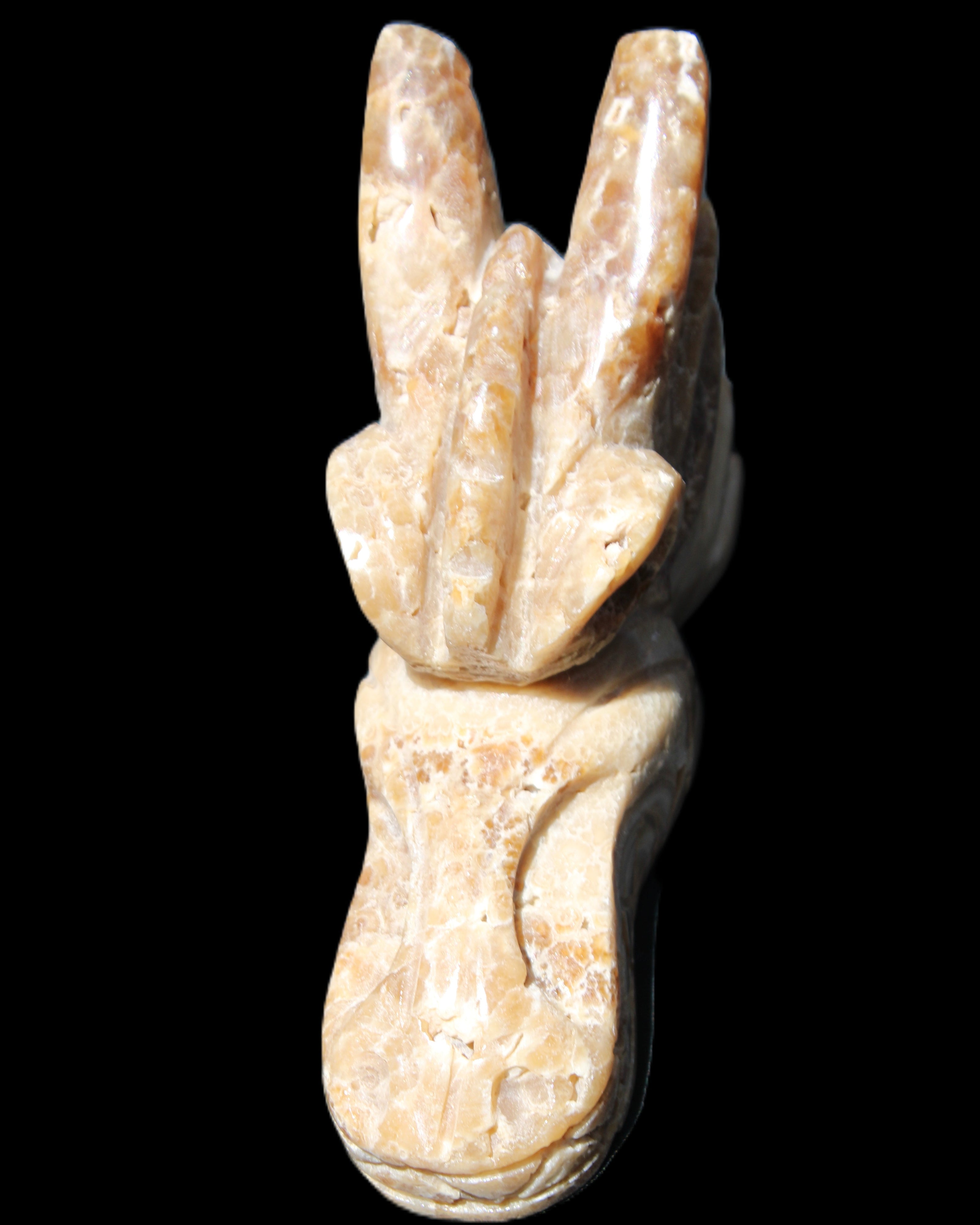 Chocolate Calcite Dragon's head hand-carved 118*41*85mm 494g in sunlight - Rocks and Things Store