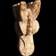 Chocolate Calcite Dragon's head hand-carved 118*41*85mm 494g in sunlight - Rocks and Things Store