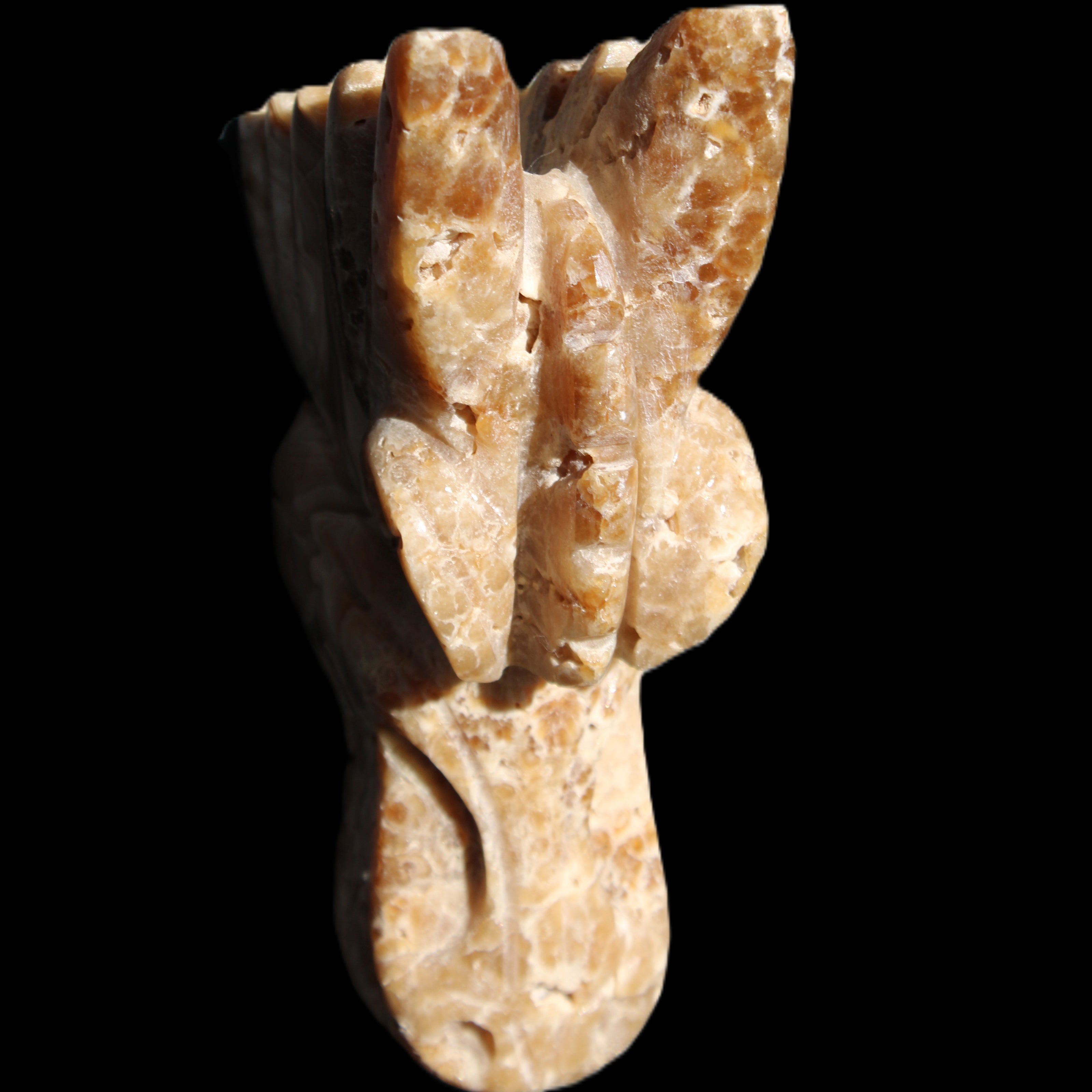 Chocolate Calcite Dragon's head hand-carved 118*41*85mm 494g in sunlight - Rocks and Things Store