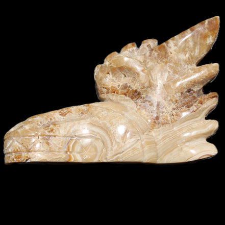 Chocolate Calcite Dragon's head hand-carved 118*41*85mm 494g in sunlight - Rocks and Things Store