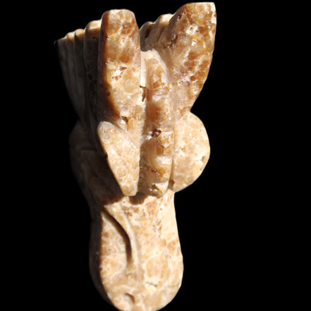 Chocolate Calcite Dragon's head hand-carved 118*41*85mm 494g in sunlight - Rocks and Things Store