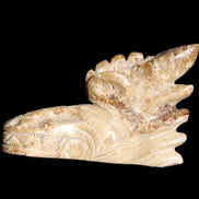 Chocolate Calcite Dragon's head hand-carved 118*41*85mm 494g in sunlight - Rocks and Things Store