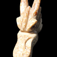 Chocolate Calcite Dragon's head hand-carved 118*41*85mm 494g in sunlight - Rocks and Things Store