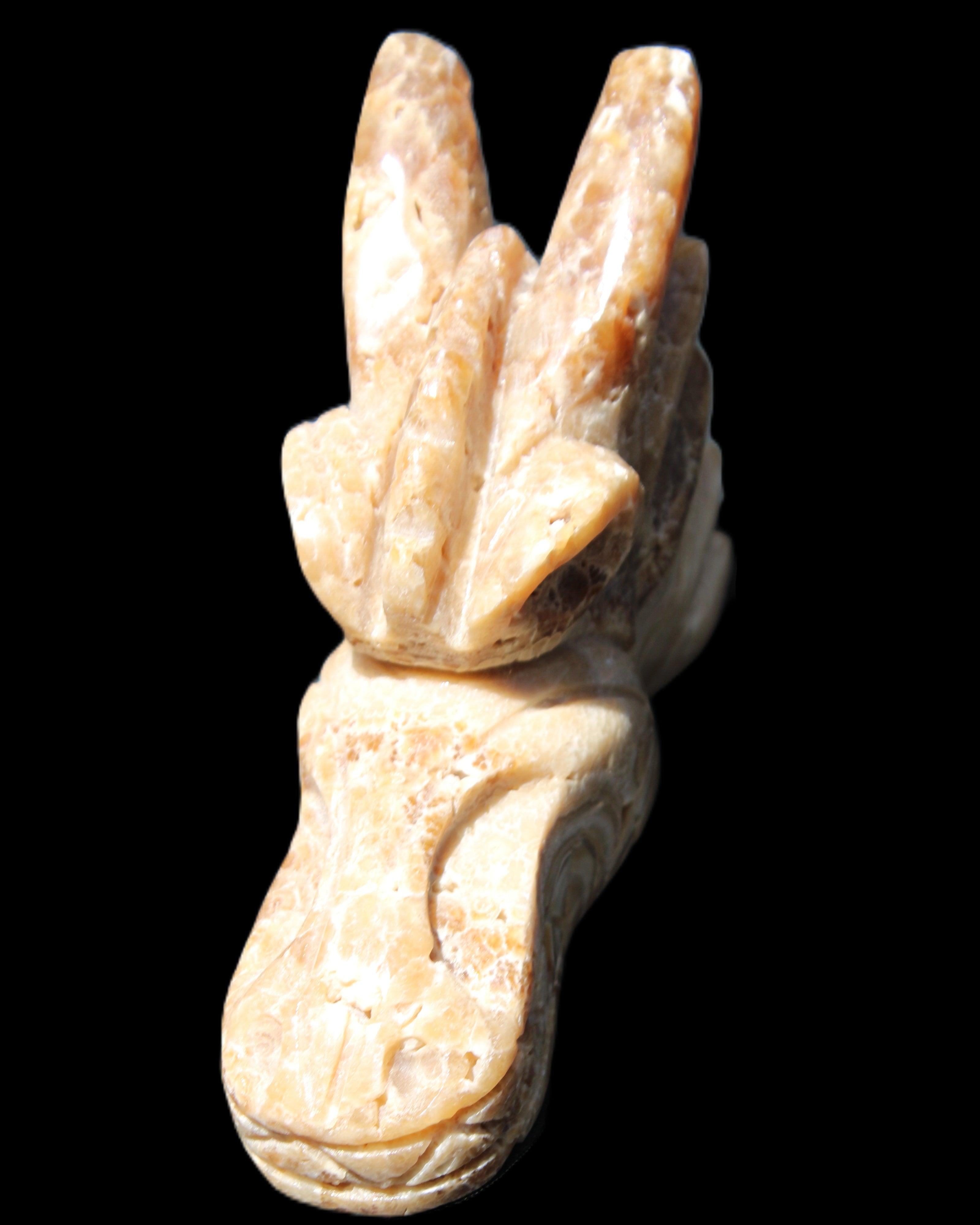 Chocolate Calcite Dragon's head hand-carved 118*41*85mm 494g in sunlight - Rocks and Things Store