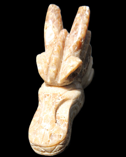 Chocolate Calcite Dragon's head hand-carved 118*41*85mm 494g in sunlight - Rocks and Things Store