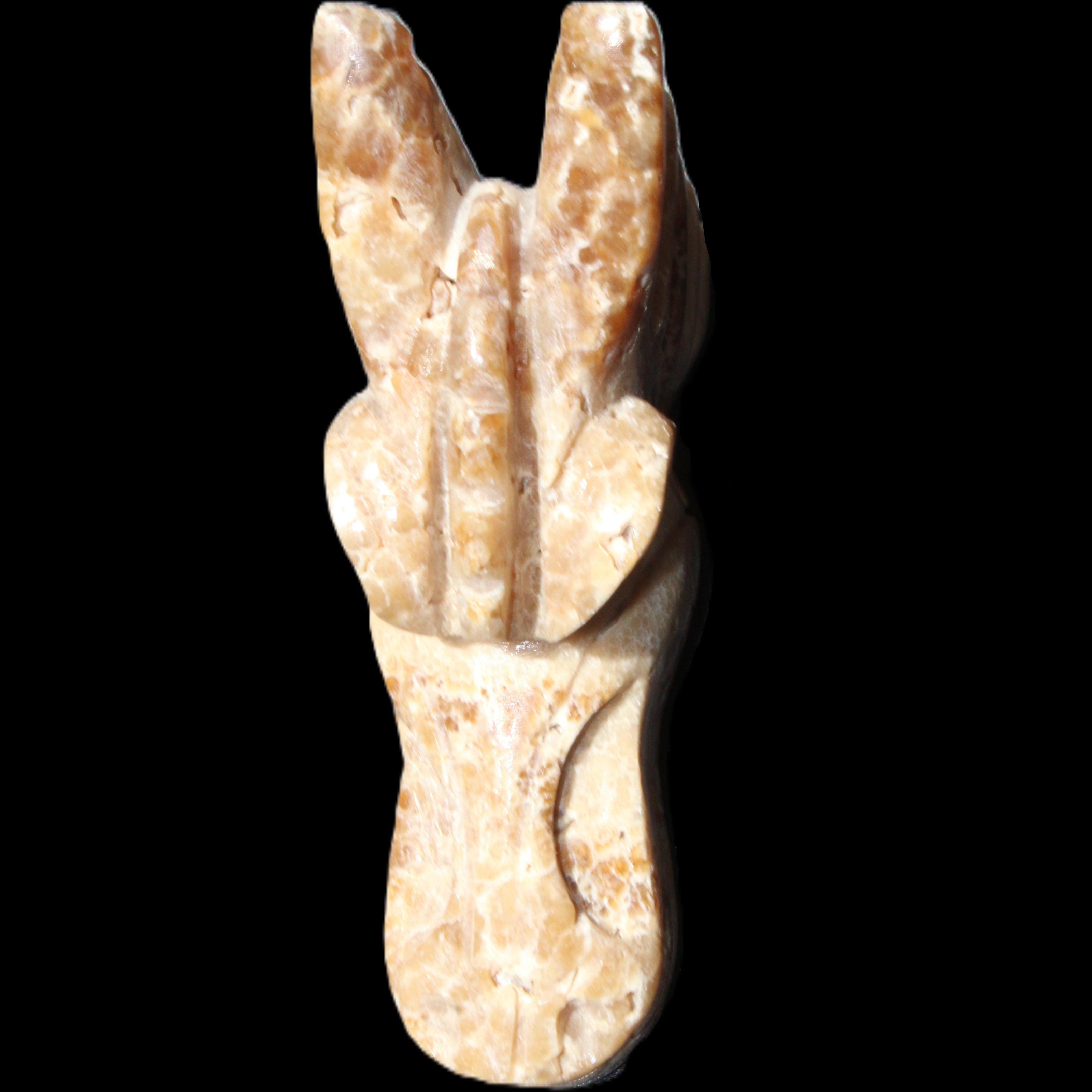 Chocolate Calcite Dragon's head hand-carved 118*41*85mm 494g in sunlight - Rocks and Things Store