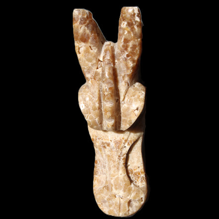 Chocolate Calcite Dragon's head hand-carved 118*41*85mm 494g in sunlight - Rocks and Things Store